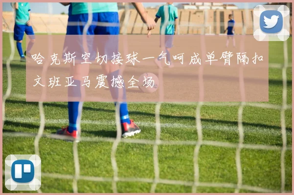 哈克斯空切接球一气呵成单臂隔扣文班亚马震撼全场