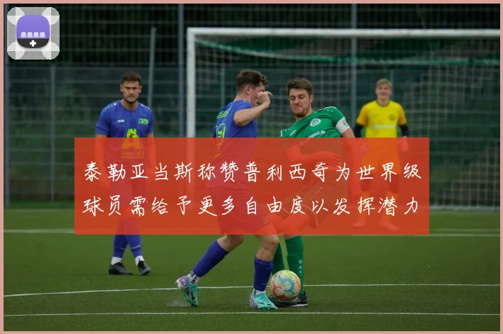 泰勒亚当斯称赞普利西奇为世界级球员需给予更多自由度以发挥潜力
