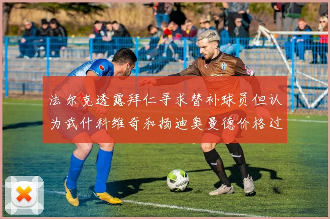 法尔克透露拜仁寻求替补球员但认为武什科维奇和扬迪奥曼德价格过高